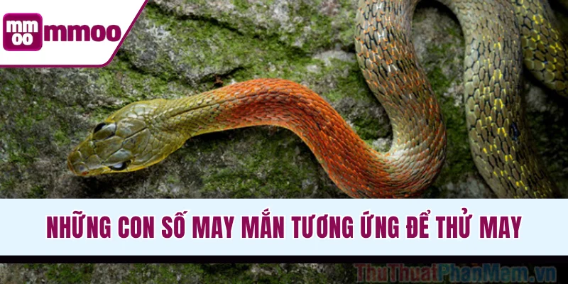 Những con số may mắn tương ứng để thử may